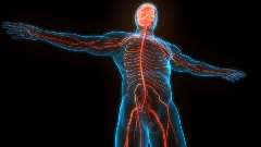 Neuromodulation SIG original image