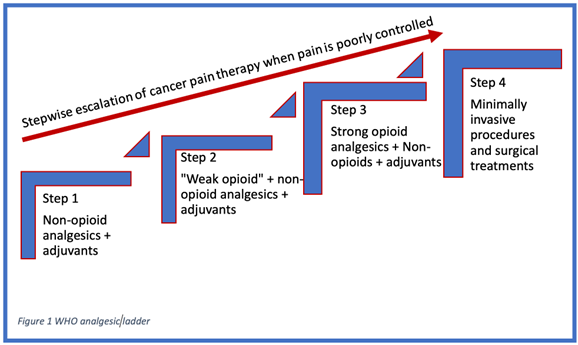 Visual representation of the WHO analgesic stepladder