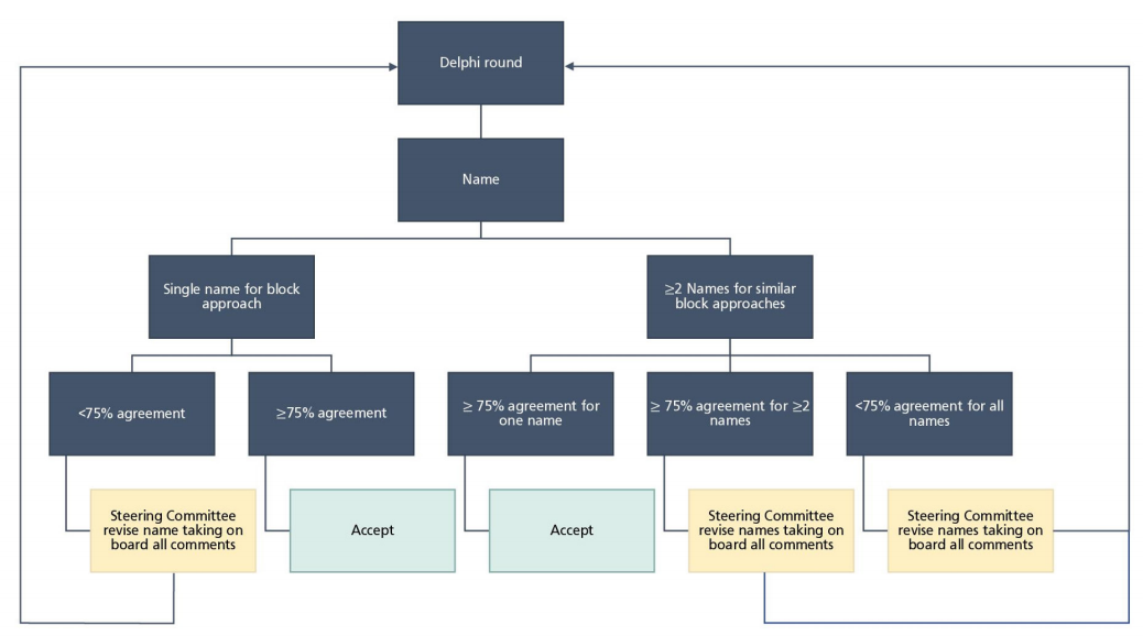 Flowchart demonstrating Steering Committee decision-making