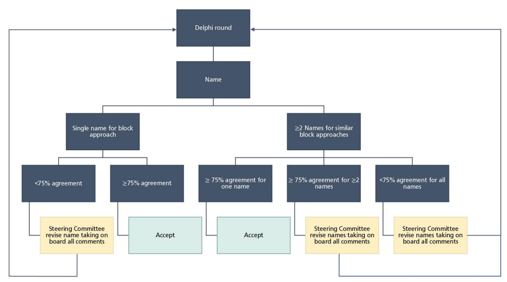 Flowchart demonstrating Steering Committee decision-making 