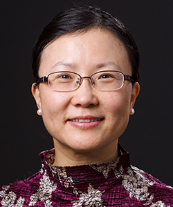 Dr. Jinlei Li