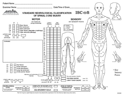 Neurological examination classification of spinal cord injury