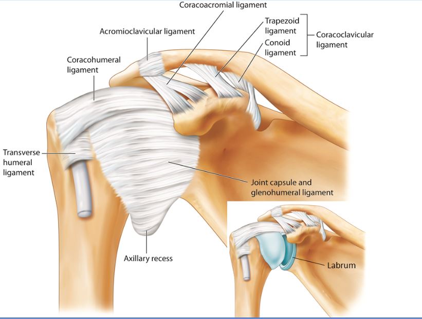 How I Do It: Ultrasound-Guided Injection for the Shoulder (Part 2)