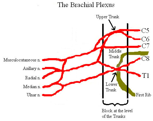 Supraclavicular Block