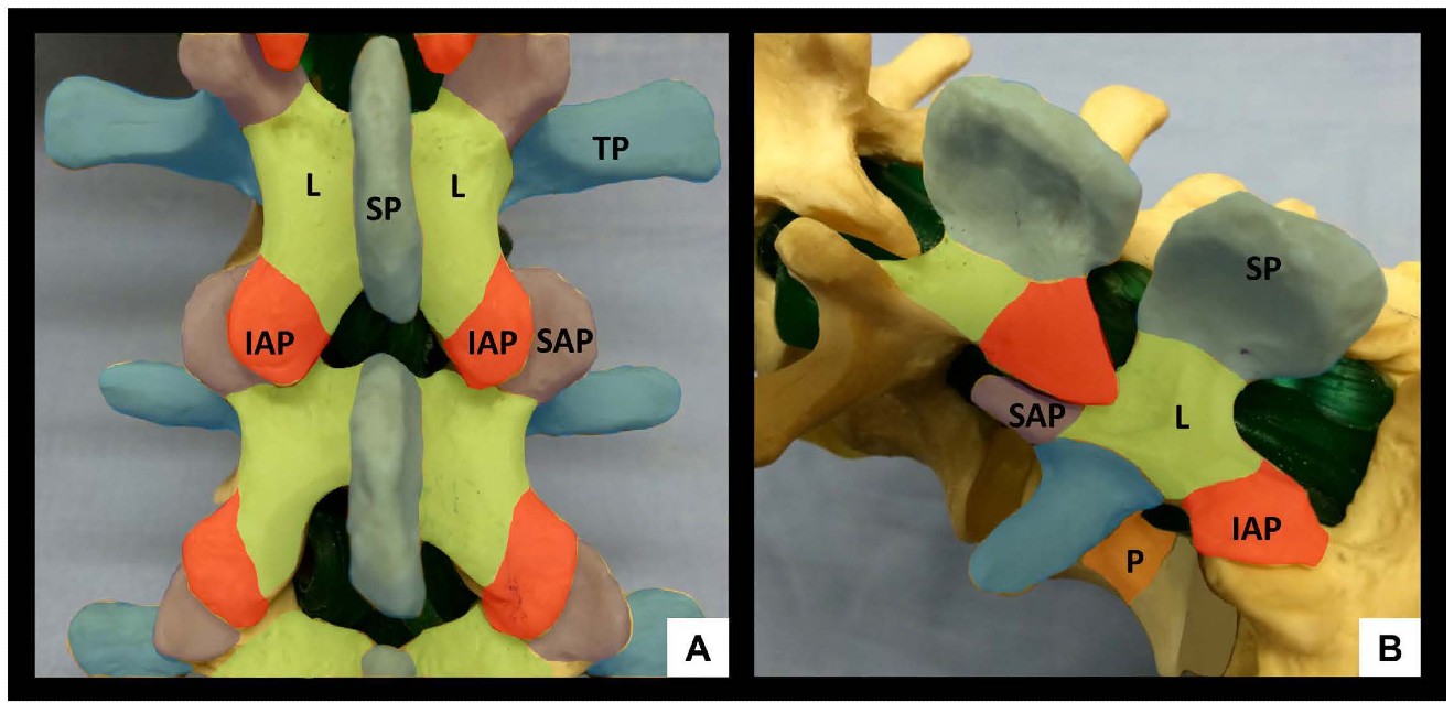 UGLC Figure 1