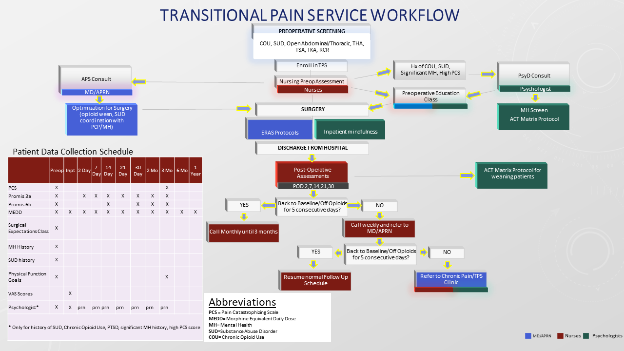 Transitional Pain Service Workflow