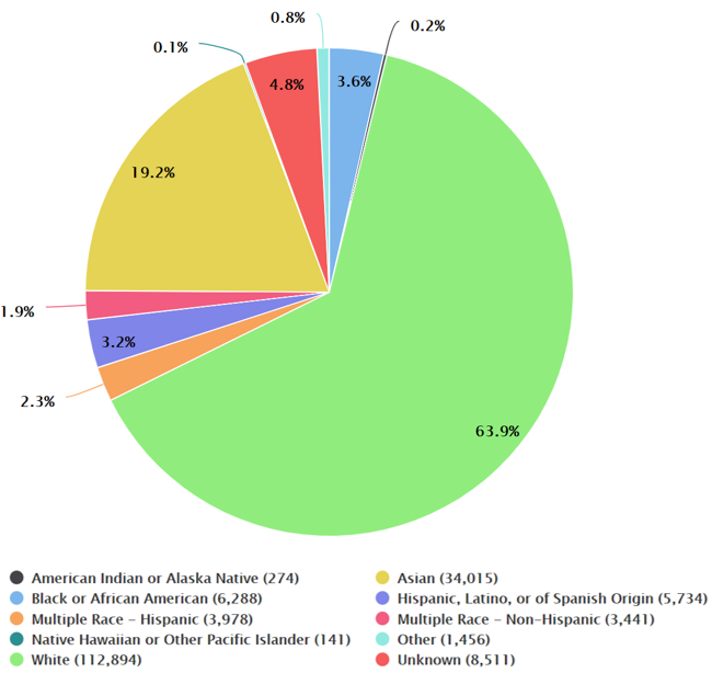 Full-time US Medical School Faculty by Race/Ethnicity