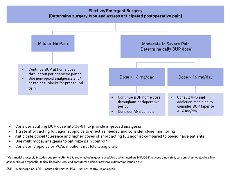 Perioperative Management Of Patients On Buprenorphine For Opioid Use ...