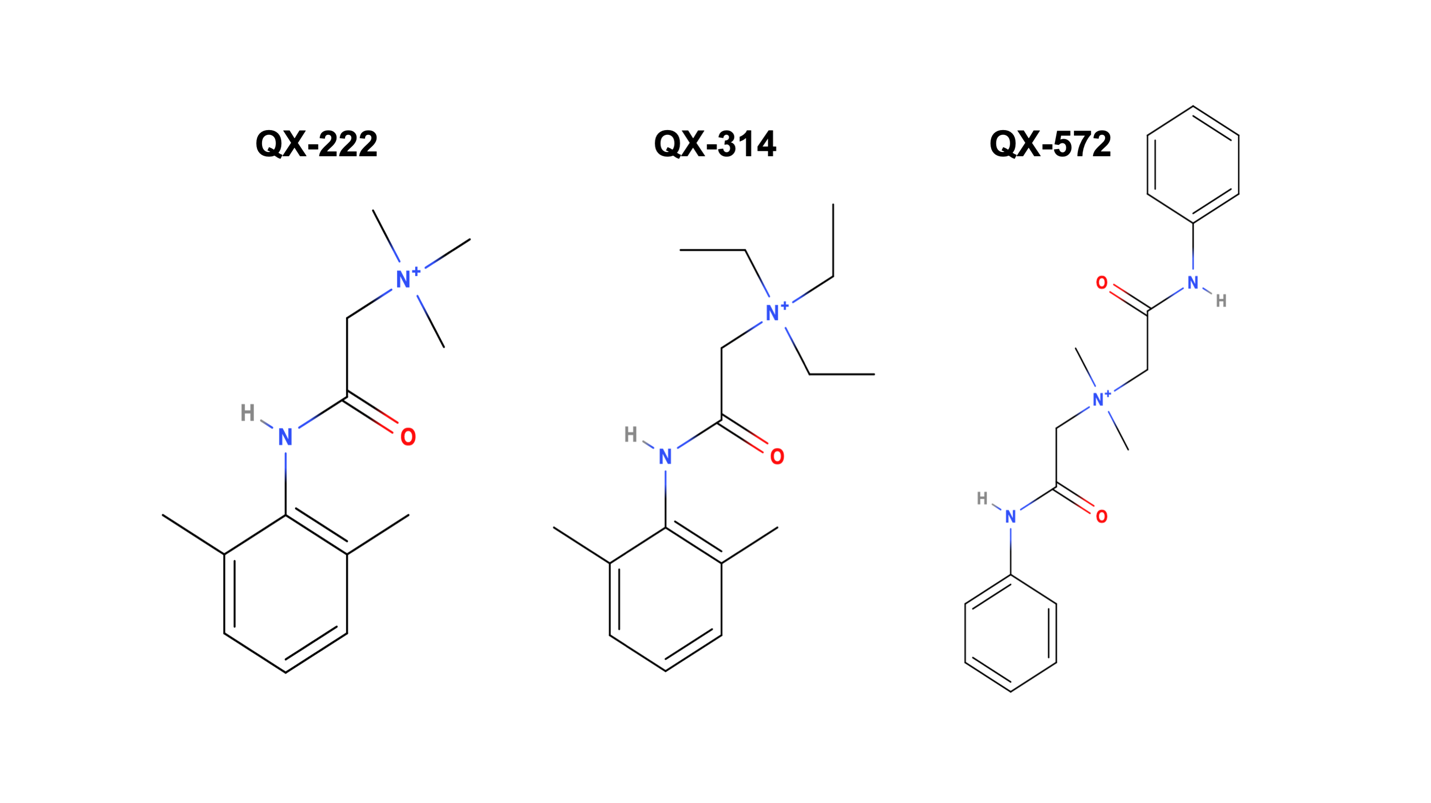 Figure 1 Fung