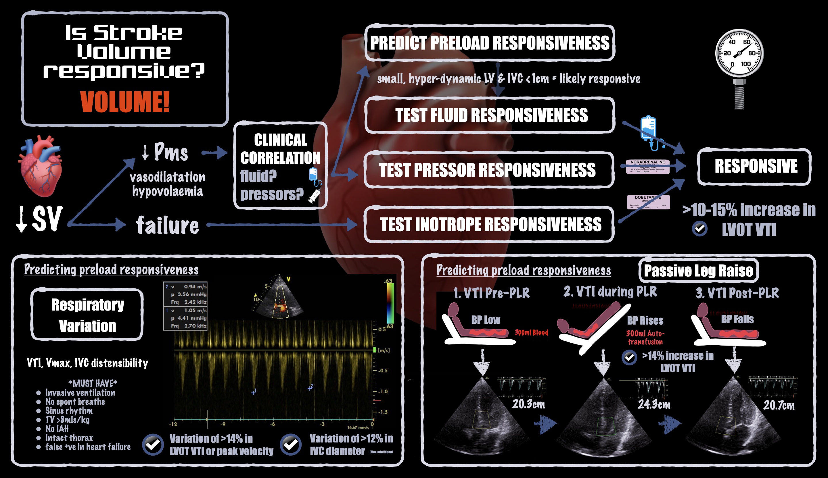 Infographic demonstrating how to estimate or measure stroke volume responsiveness